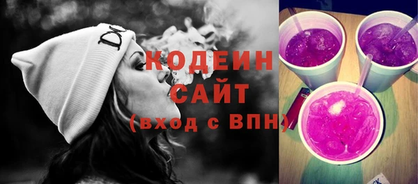 индика Дмитриев