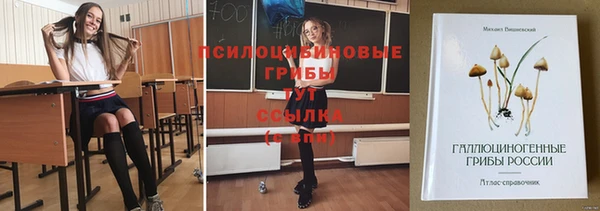 прущие грибы Алексеевка