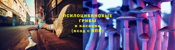 прущие грибы Алексеевка