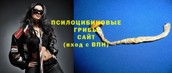 героин Алексин