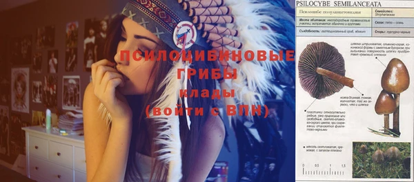 героин Алексин
