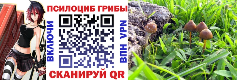 Галлюциногенные грибы MAGIC MUSHROOMS  Пущино 
